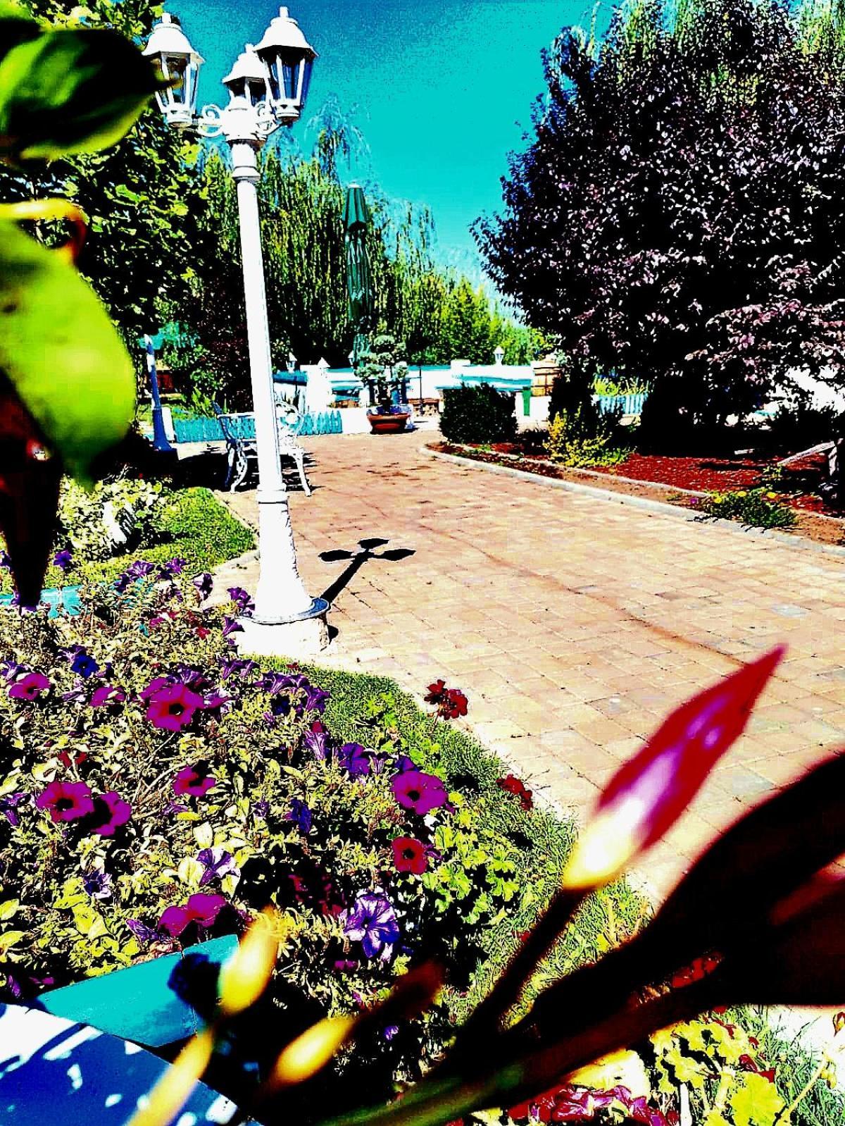 Pensiunea Prigoria Hotel Murighiol Kültér fotó